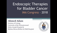 Endoscopic therapies for bladder cancer...