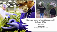 The Legal Status of Medicinal Cannabis in SA...