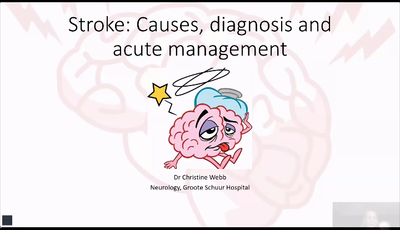 Stroke causes, diagnosis and acute management...