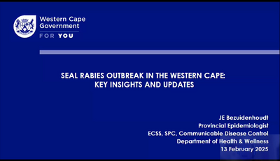 Seal rabies outbreak in the Western Cape...