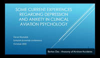 Clinical experiences regarding depression and anxiety in clinical aviation psychology...