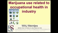 Marijuana use related to occupational health...